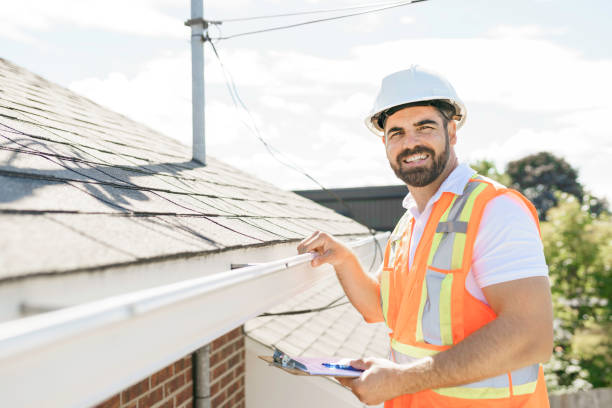 Best Roof Moss and Algae Removal  in Pottsville, AR